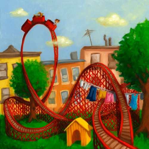 a roller coaster in his backyard